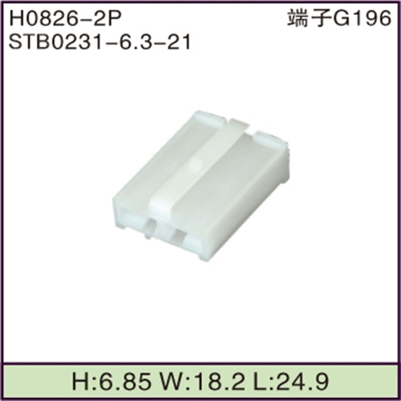 STB0231-6.3-21