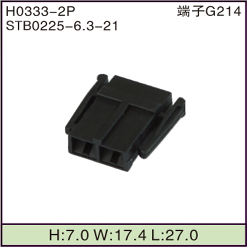STB0225-6.3-21