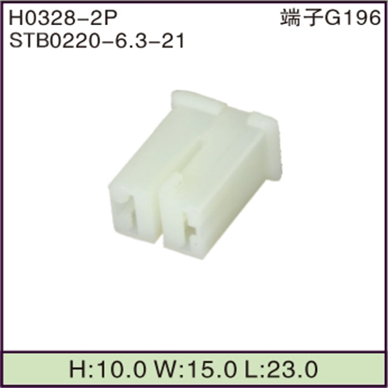 STB0220-6.3-21