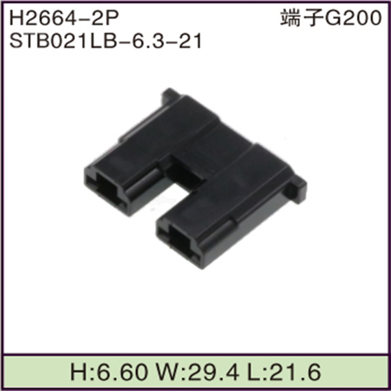 STB021LB-6.3-21