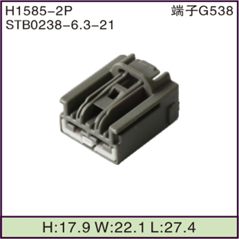 STB0238-6.3-21