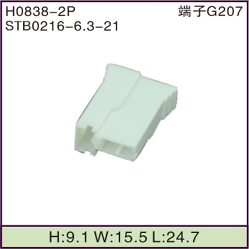 STB0216-6.3-21