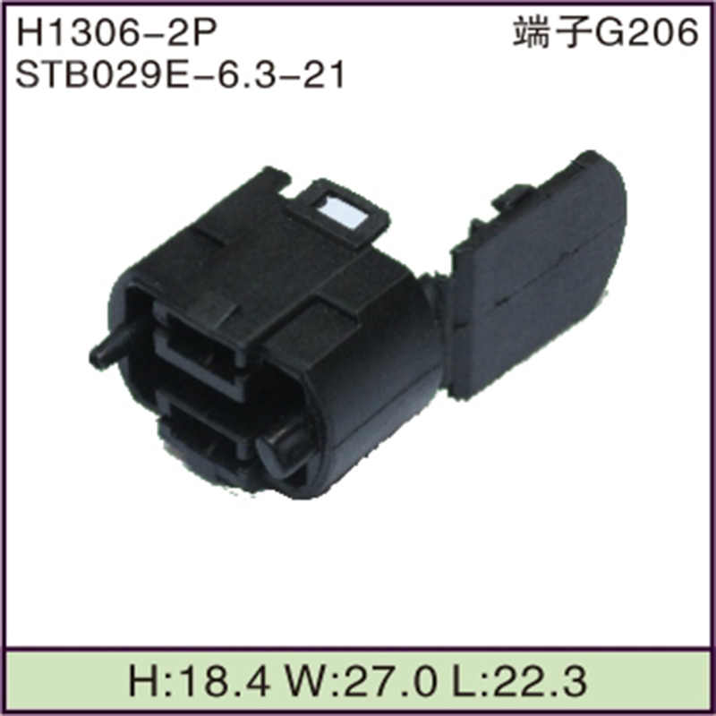 STB029E-6.3-21