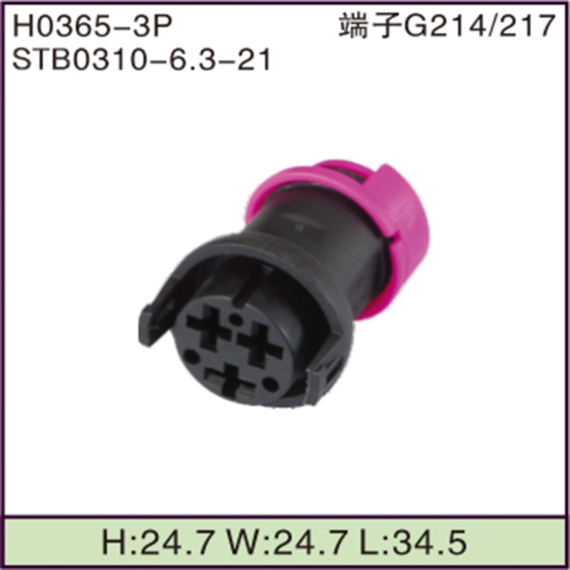 STB0310-6.3-21