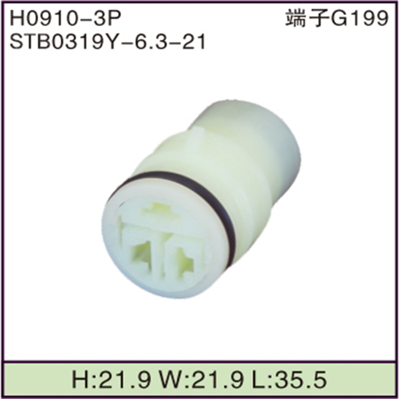 STB0319Y-6.3-21