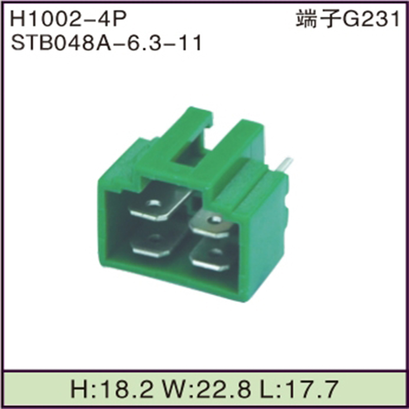 STB048A-6.3-11