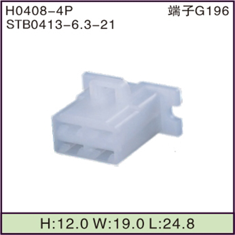 STB0413-6.3-21
