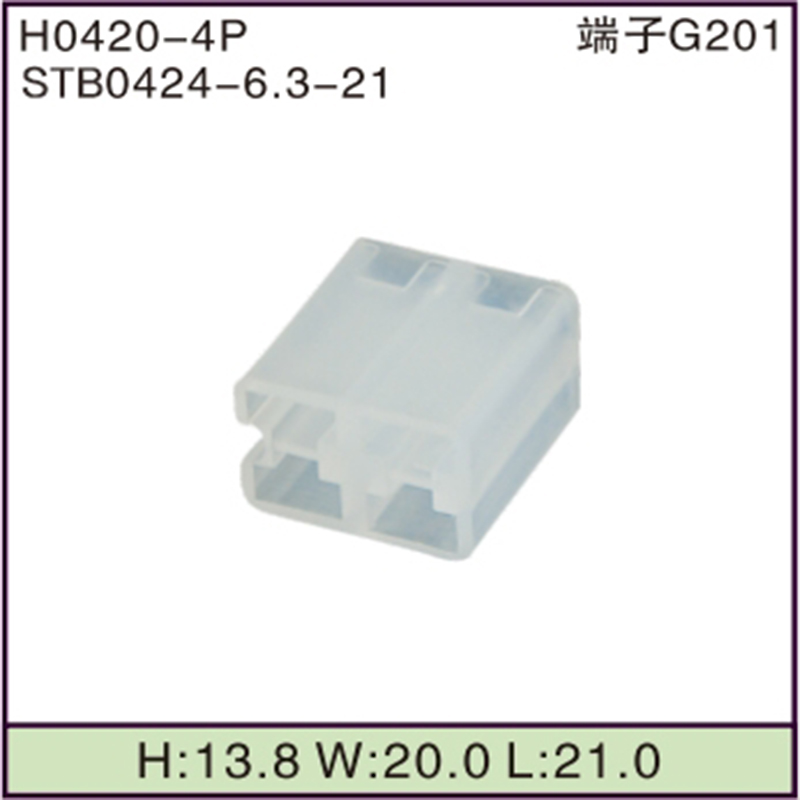 STB0424-6.3-21