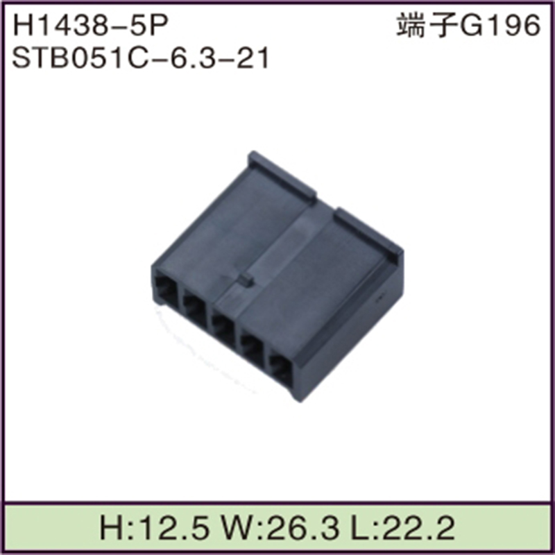 STB051C-6.3-21