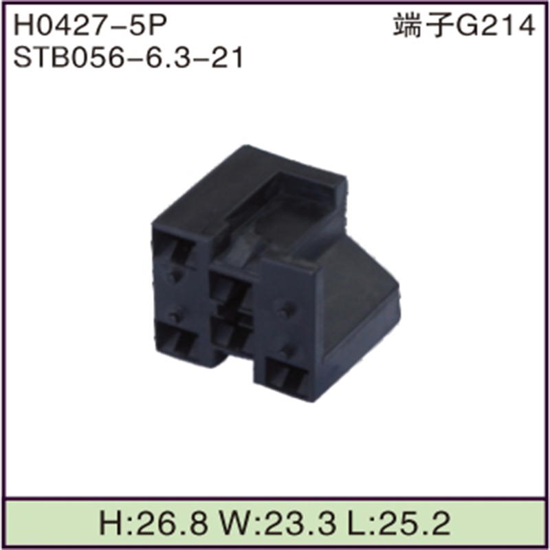 STB056-6.3-21