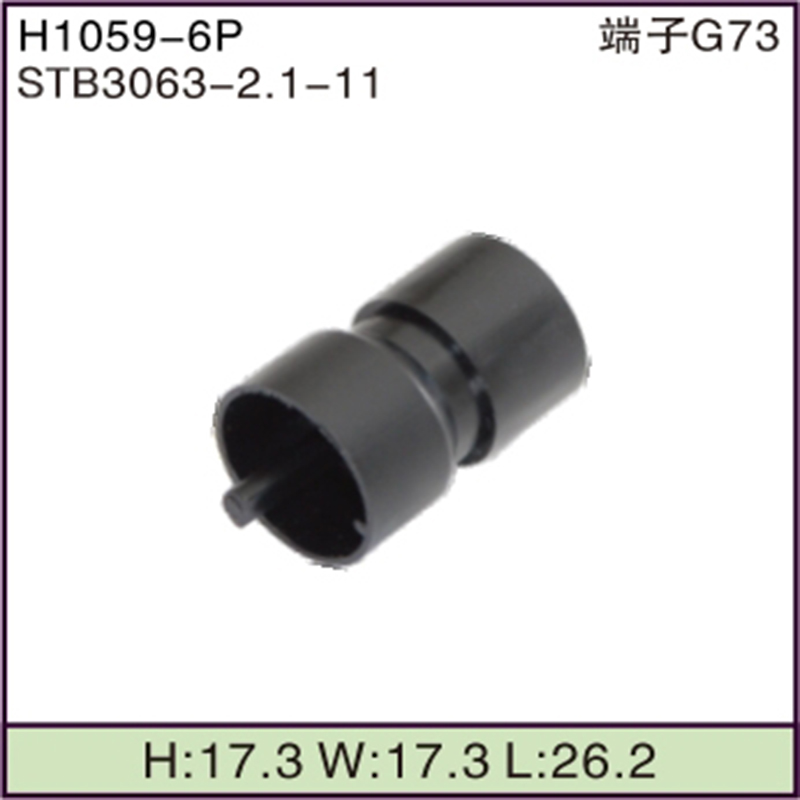 STB3063-2.1-11