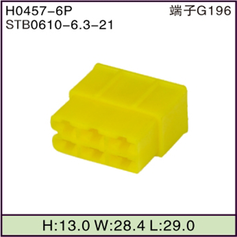 STB0610-6.3-21