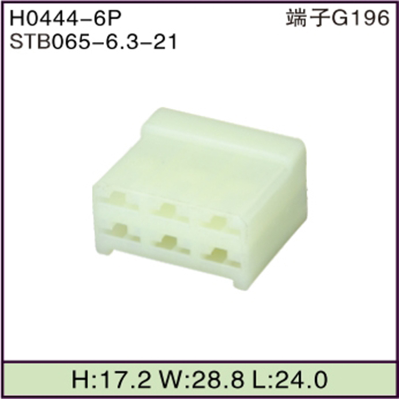 STB065-6.3-21