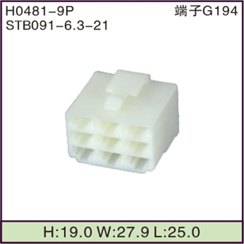 STB091-6.3-21