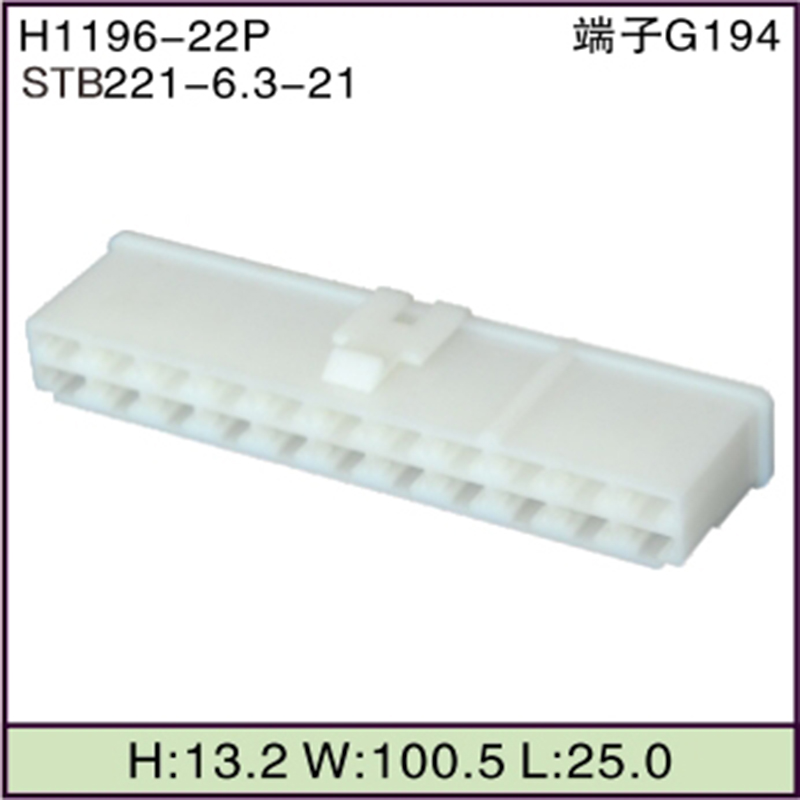 STB221-6.3-21