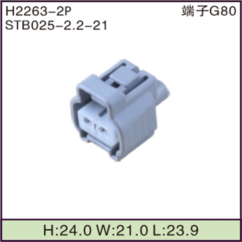 STB025-2.2-21