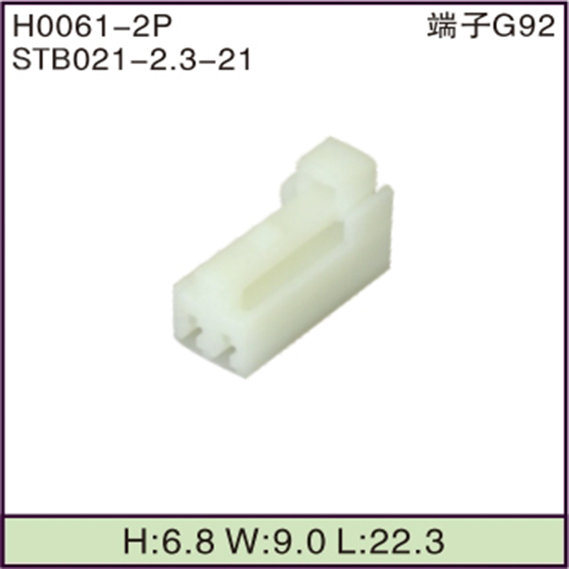 STB021-2.3-21