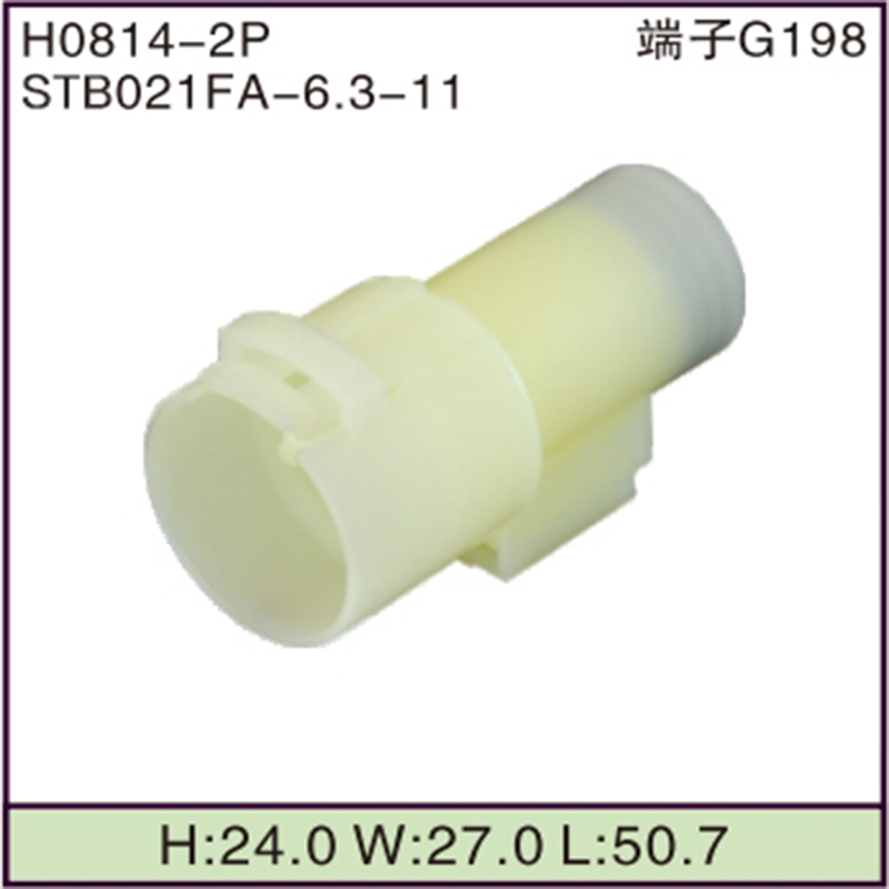 STB021FA-6.3-11