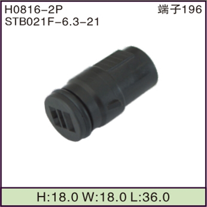 STB021F-6.3-21