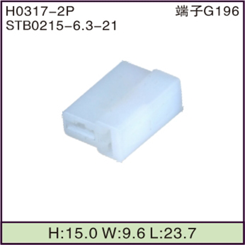 STB0215-6.3-21