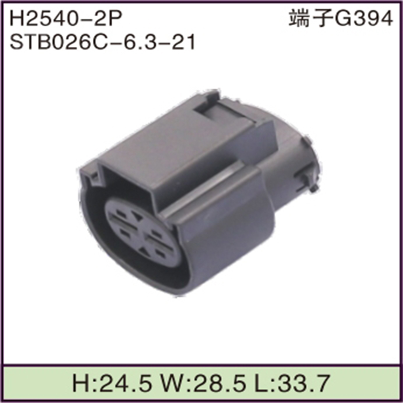 STB026C-6.3-21