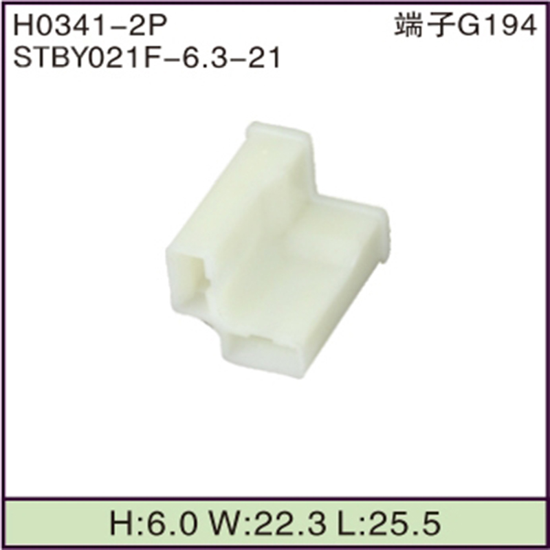 STBY021F-6.3-21