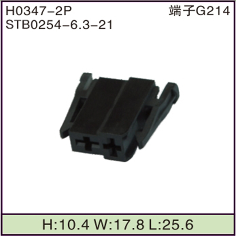 STB0254-6.3-21