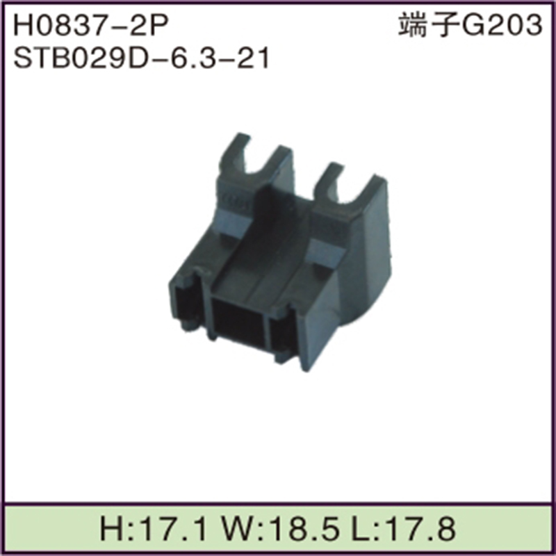 STB029D-6.3-21