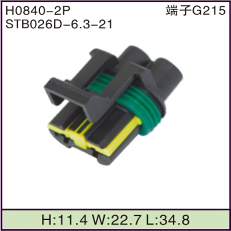STB026D-6.3-21