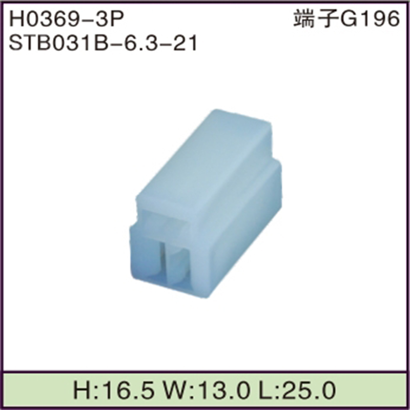 STB031B-6.3-21