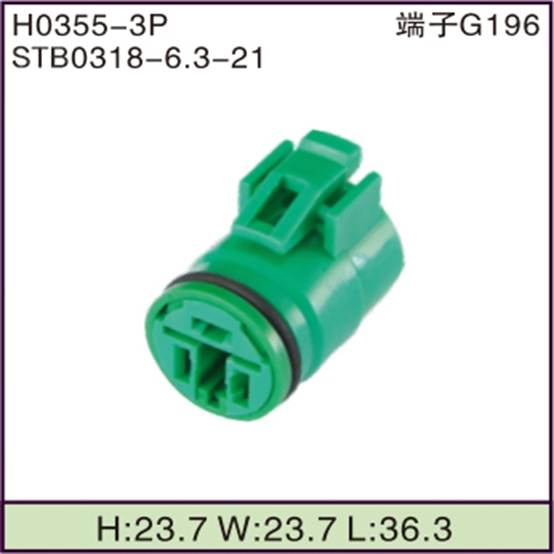 STB0318-6.3-21
