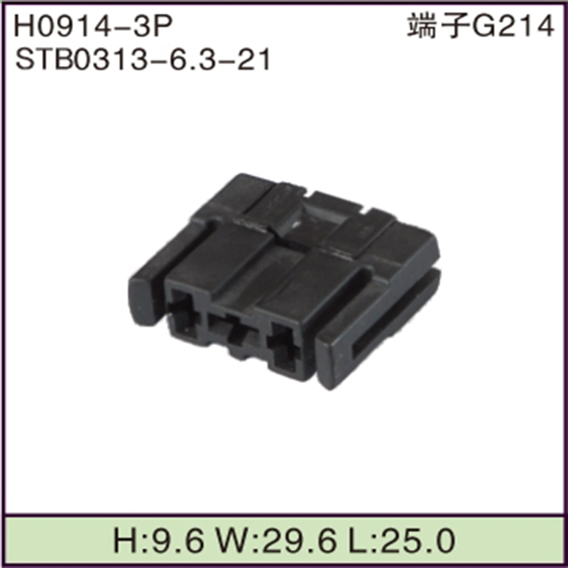 STB0313-6.3-21