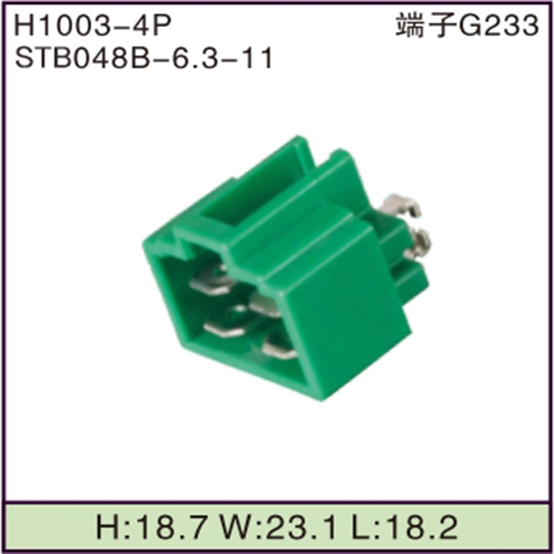 STB048B-6.3-11