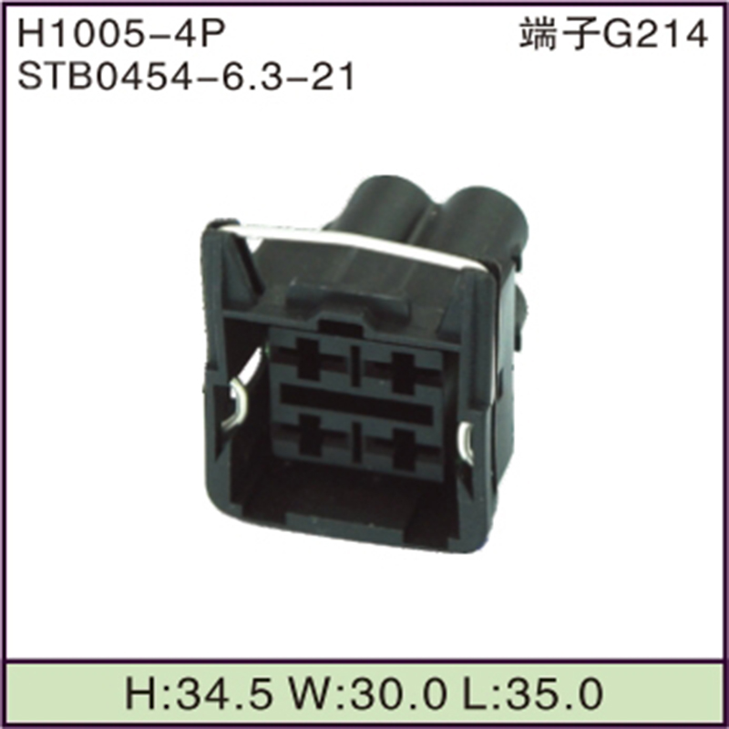 STB0454-6.3-21