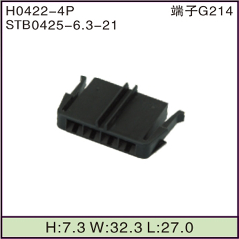 STB0425-6.3-21