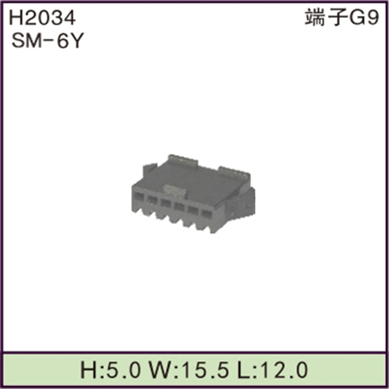 SM-6Y