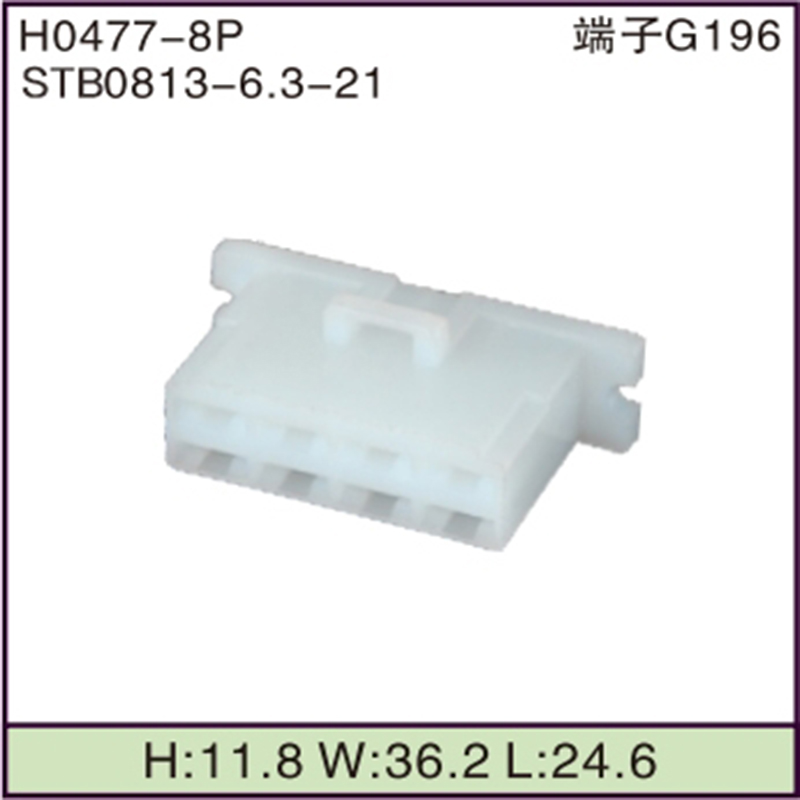 STB0813-6.3-21