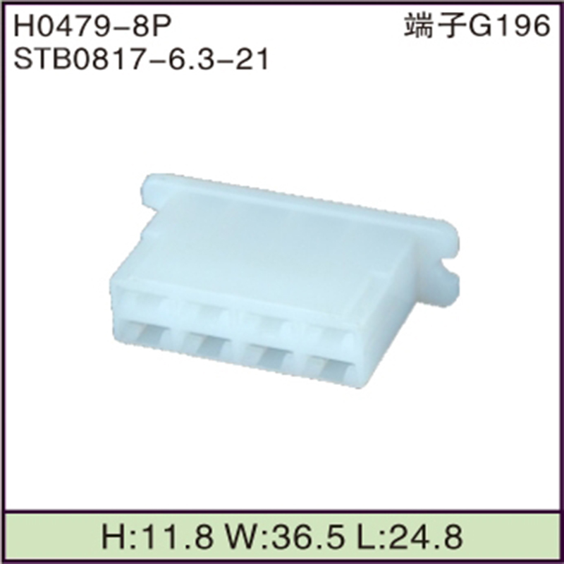 STB0817-6.3-21