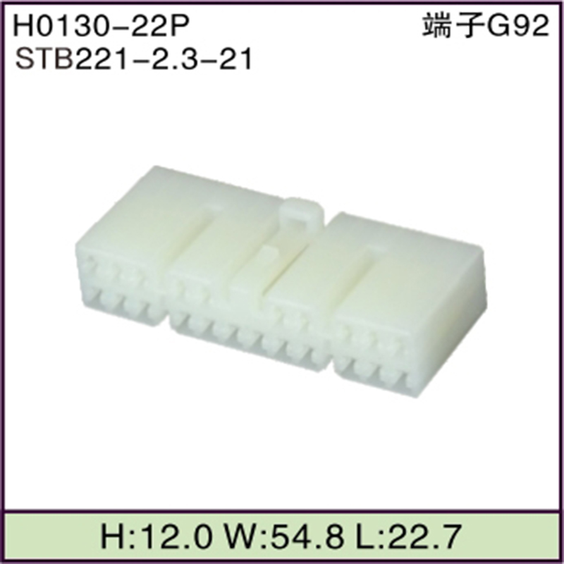 STB221-2.3-21