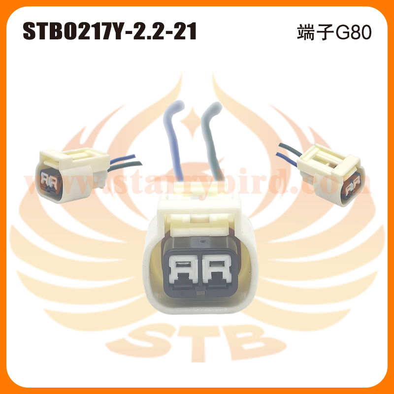 STB0217Y-2.2-21
