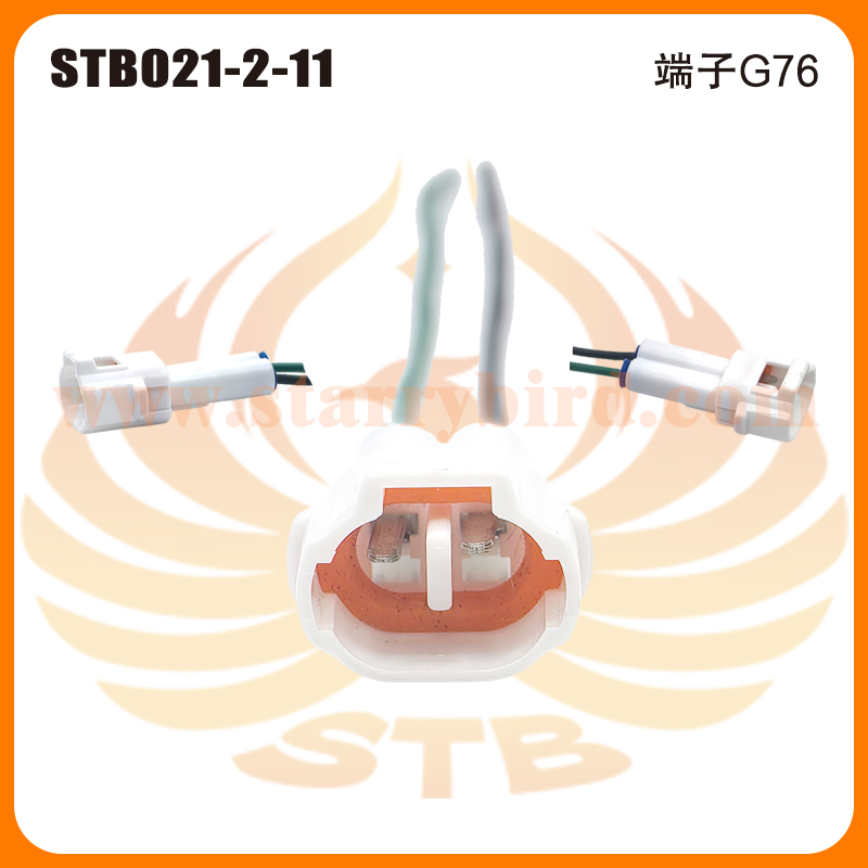 STB021-2-11