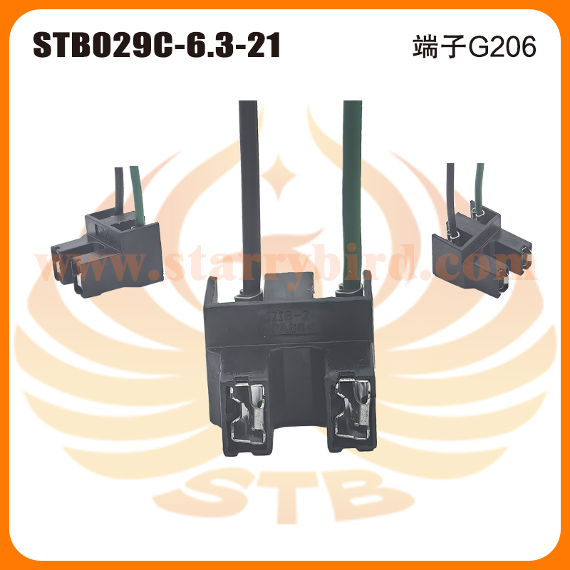 STB029C-6.3-21