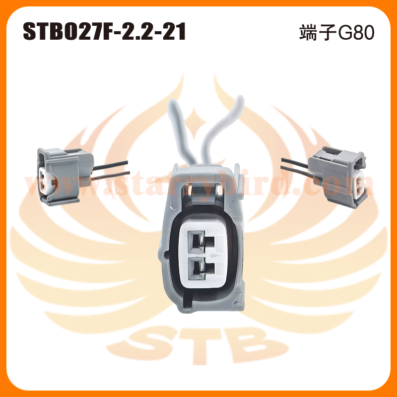 STB027F-2.2-21