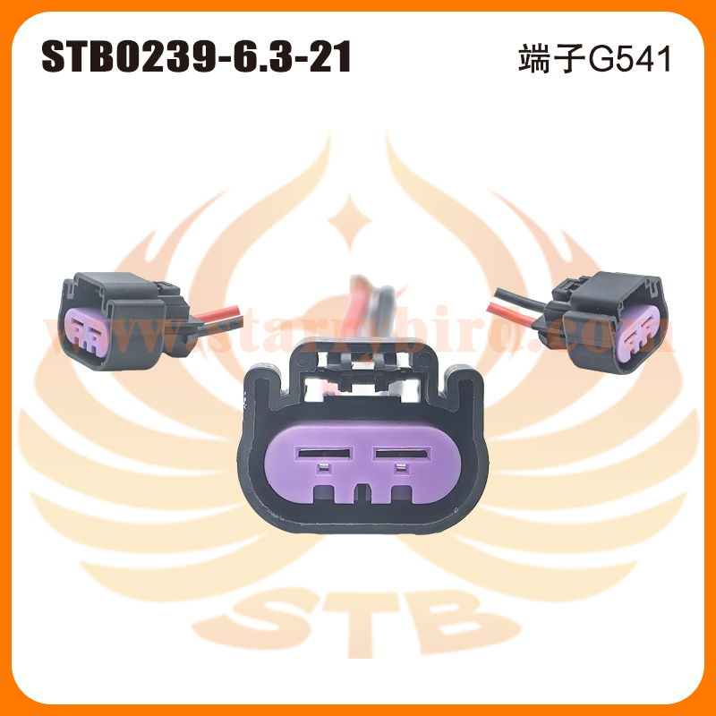 STB0239-6.3-21