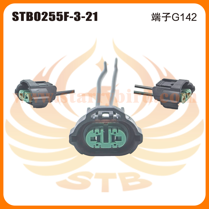 STB0255F-3-21