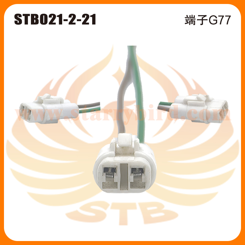 STB021-2-21