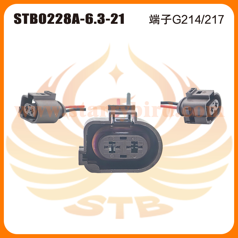 STB0228A-6.3-21