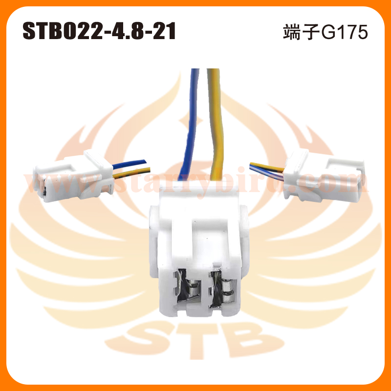 STB022-4.8-21