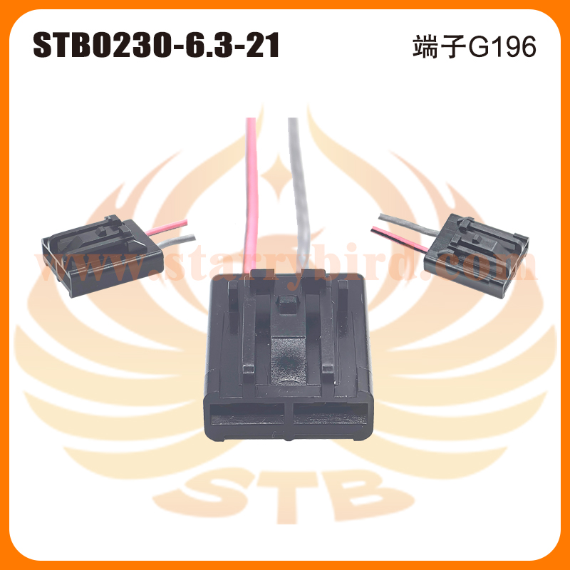 STB0230-6.3-21