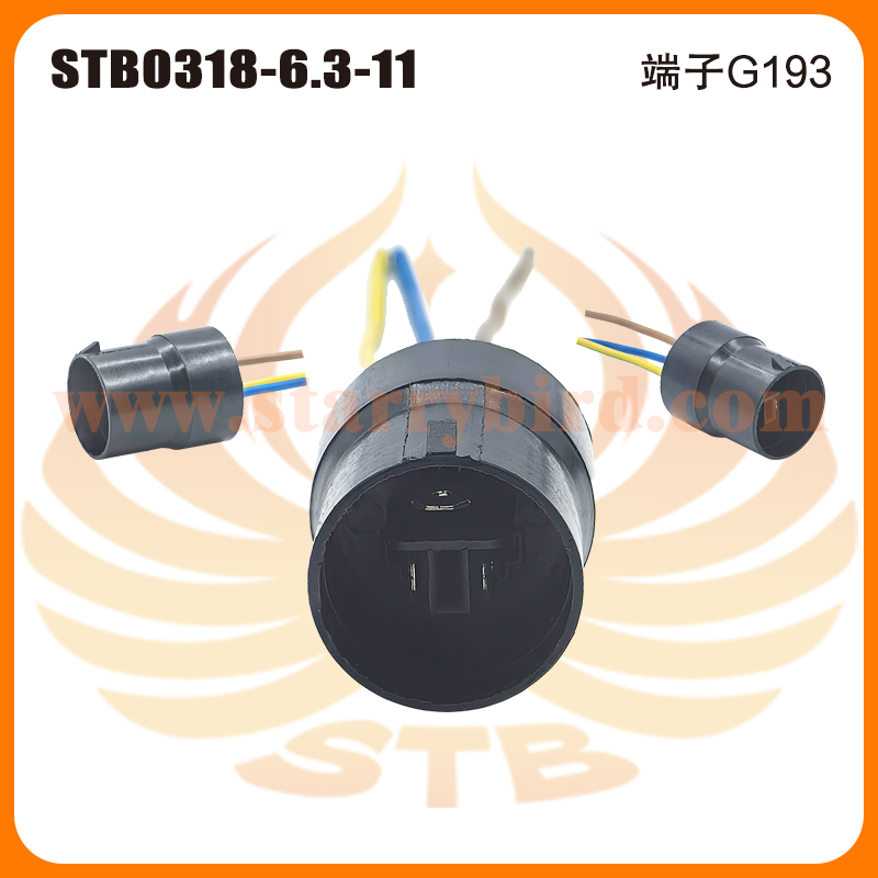 STB0318-6.3-11